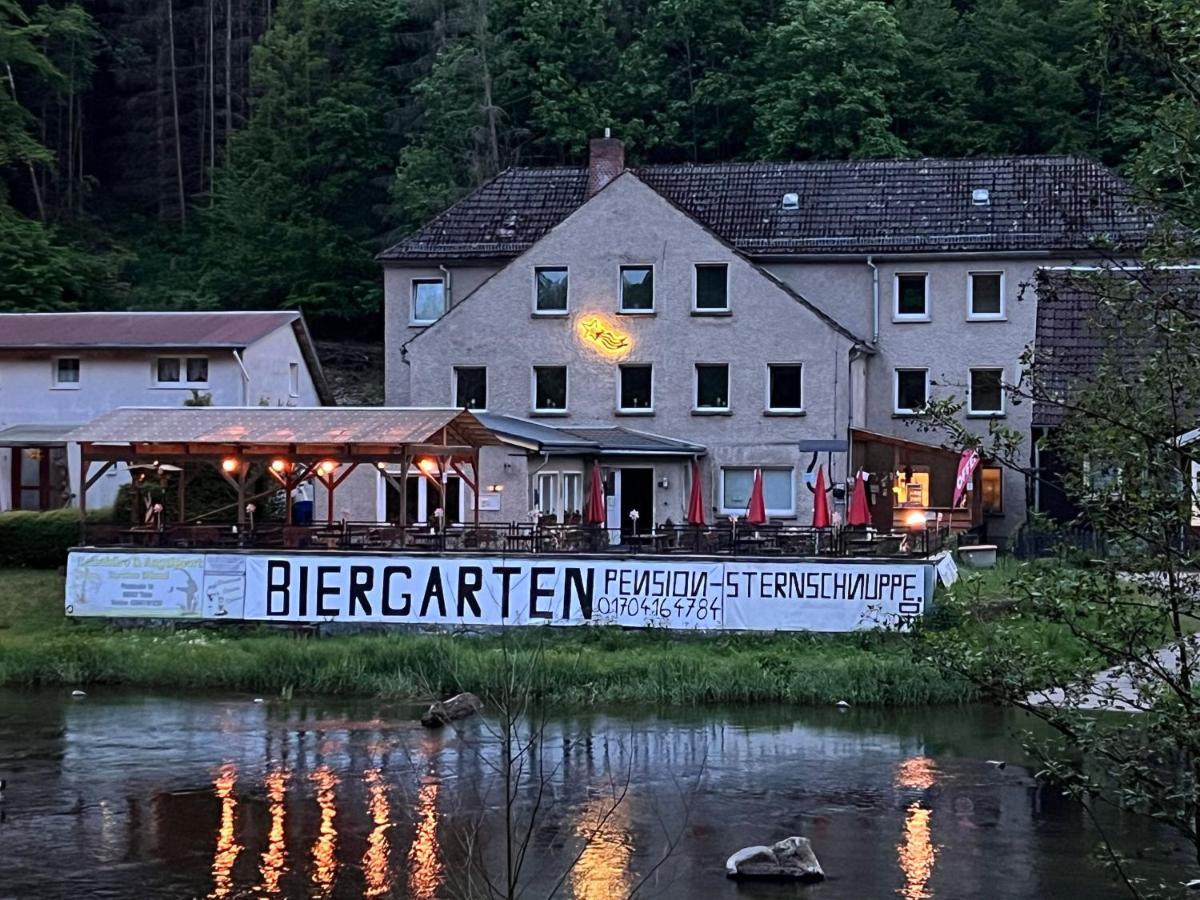 טאלה Pension Sternschnuppe, Treseburg Harz, Unmittelbar Am Wasser מראה חיצוני תמונה