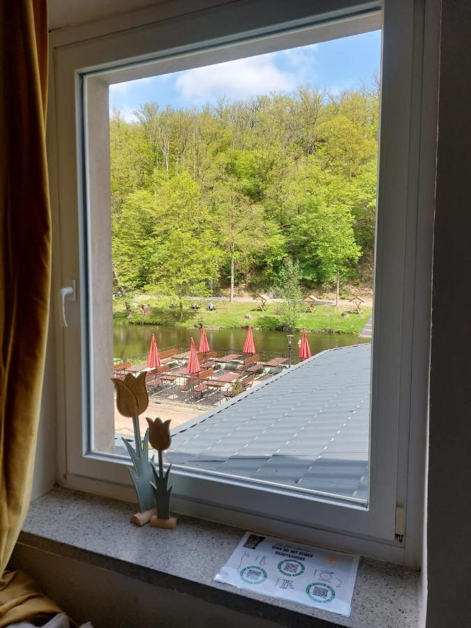 טאלה Pension Sternschnuppe, Treseburg Harz, Unmittelbar Am Wasser מראה חיצוני תמונה