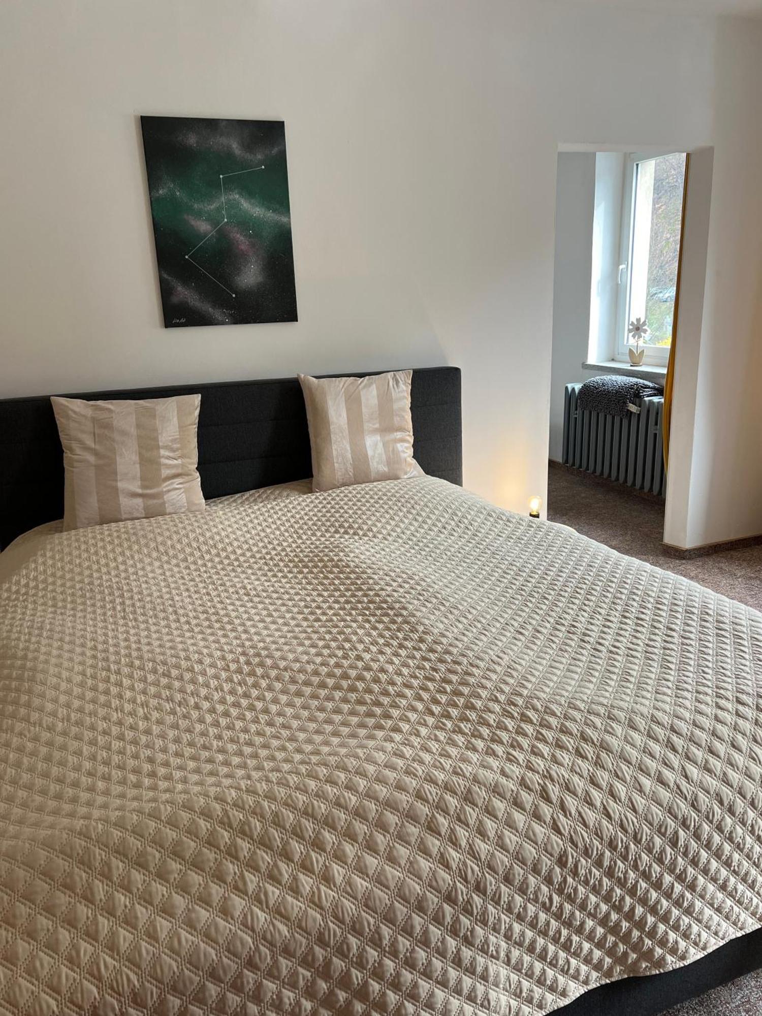 טאלה Pension Sternschnuppe, Treseburg Harz, Unmittelbar Am Wasser מראה חיצוני תמונה