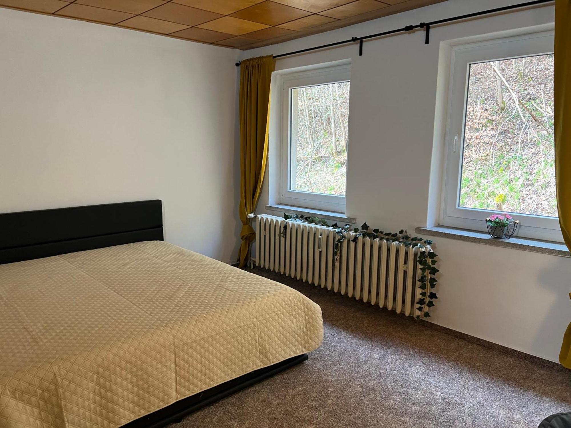 טאלה Pension Sternschnuppe, Treseburg Harz, Unmittelbar Am Wasser מראה חיצוני תמונה