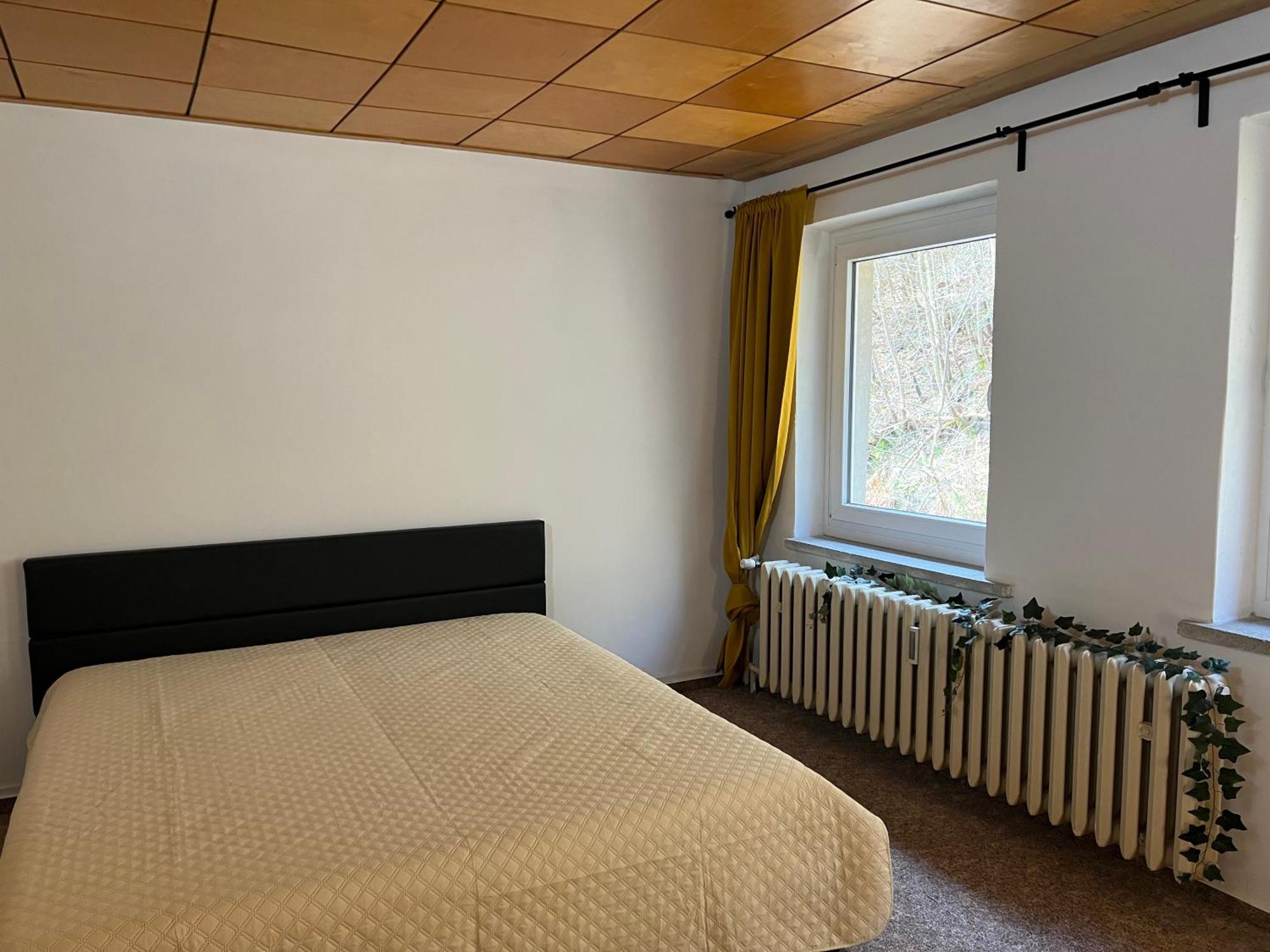 טאלה Pension Sternschnuppe, Treseburg Harz, Unmittelbar Am Wasser מראה חיצוני תמונה