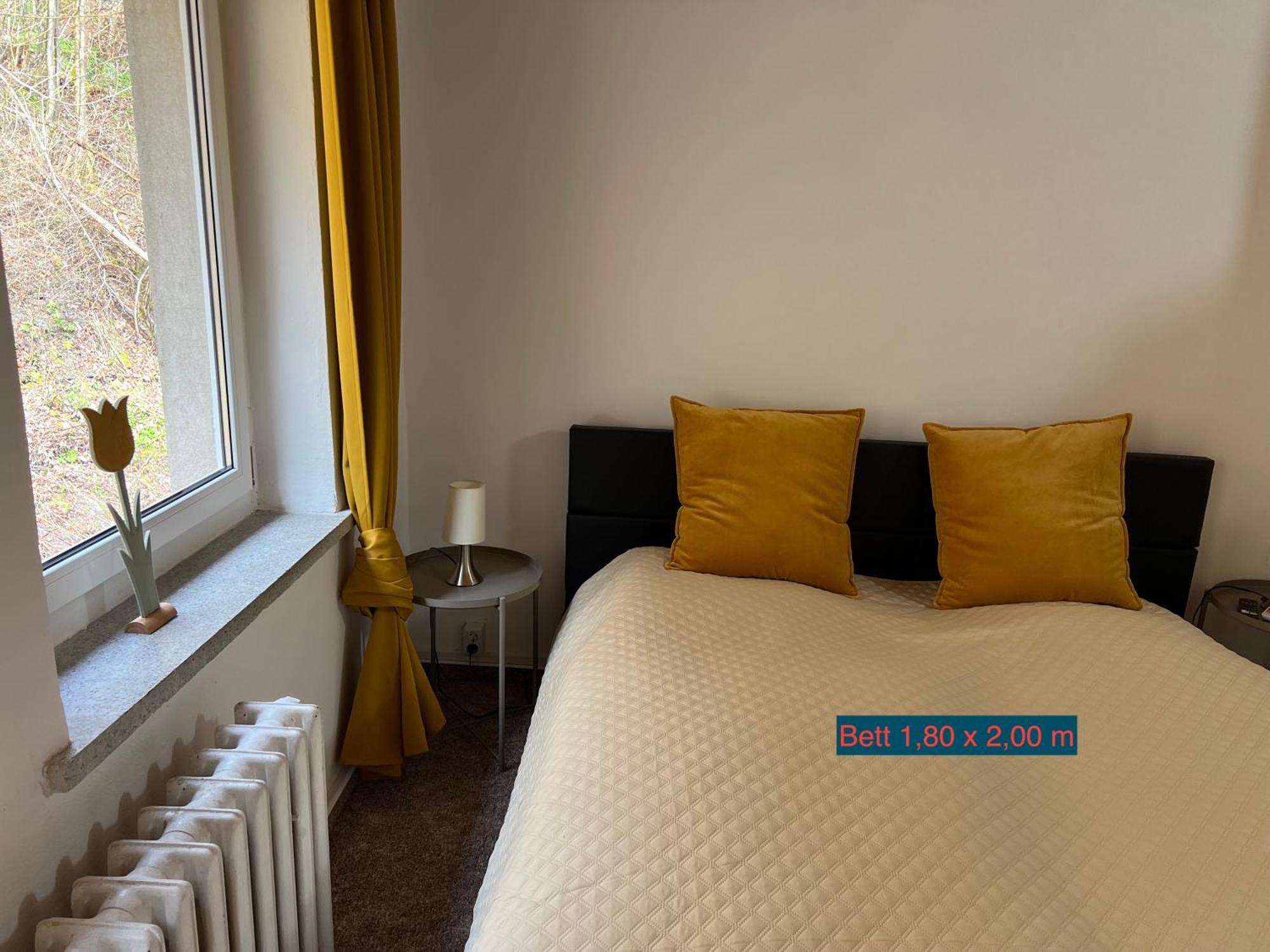 טאלה Pension Sternschnuppe, Treseburg Harz, Unmittelbar Am Wasser מראה חיצוני תמונה