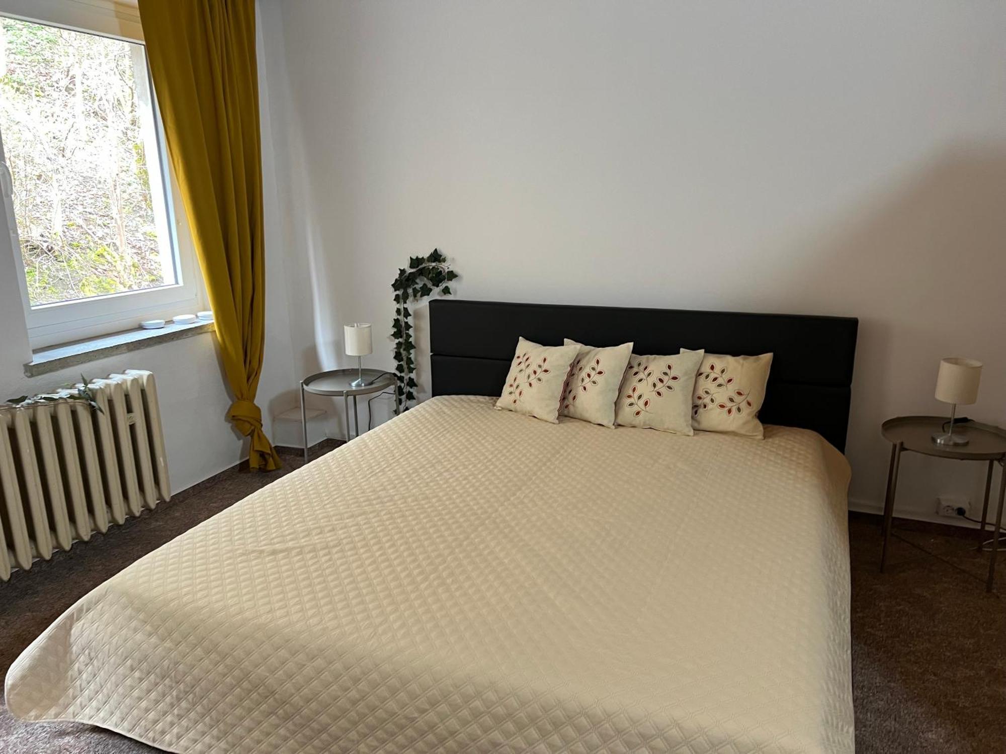 טאלה Pension Sternschnuppe, Treseburg Harz, Unmittelbar Am Wasser מראה חיצוני תמונה