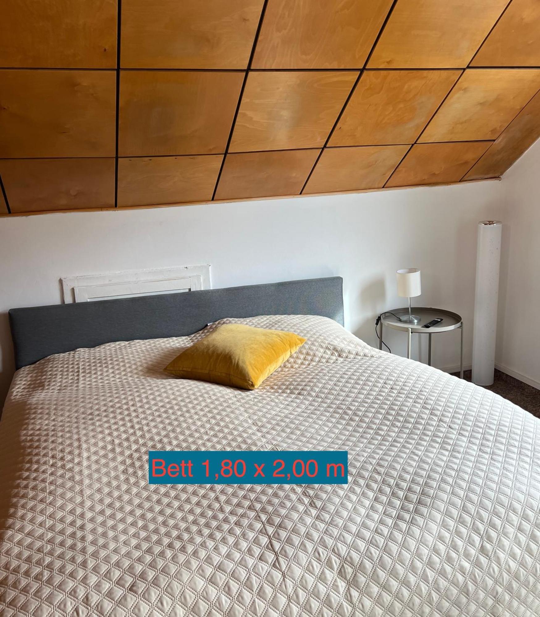 טאלה Pension Sternschnuppe, Treseburg Harz, Unmittelbar Am Wasser מראה חיצוני תמונה